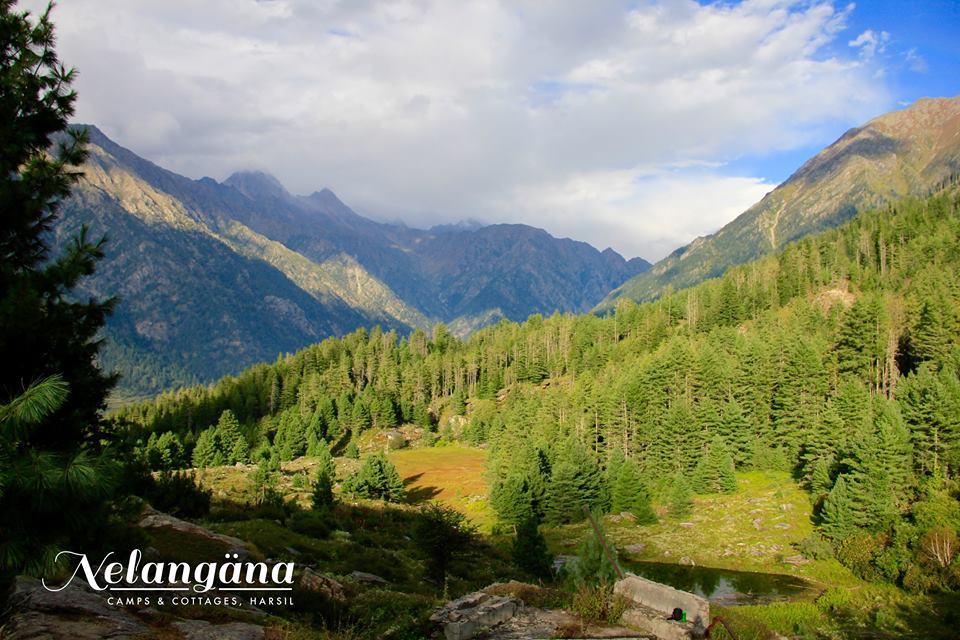 Nelangana Resort Harsil Экстерьер фото